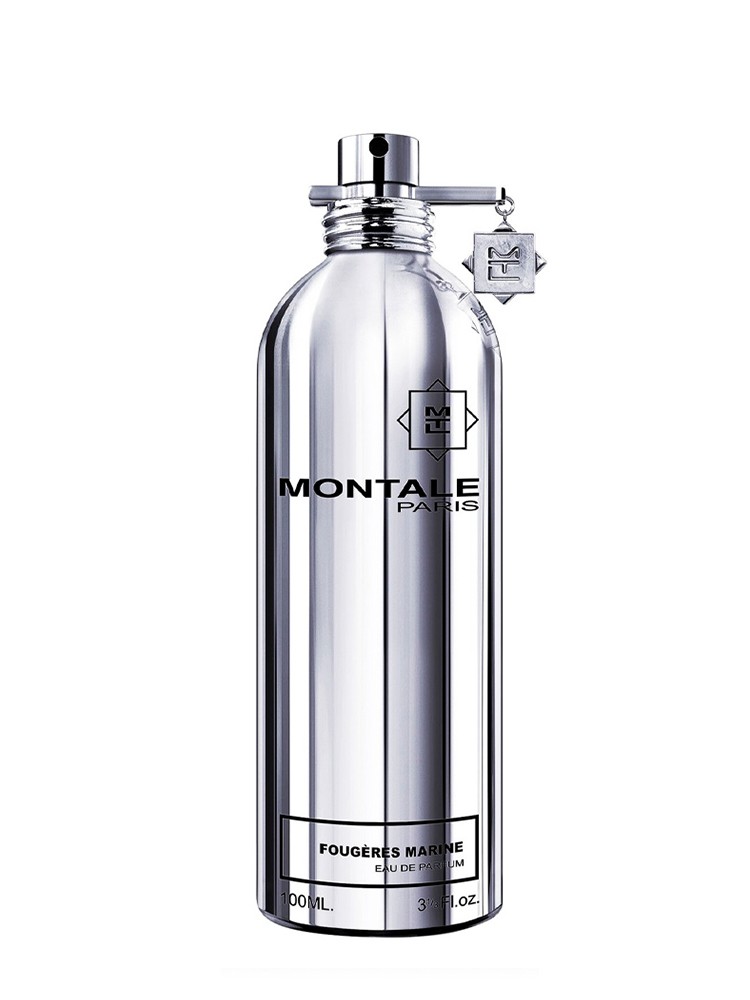 Montale Montale Fougeres Marines